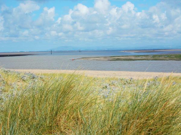 Where the Wyre meets the sea